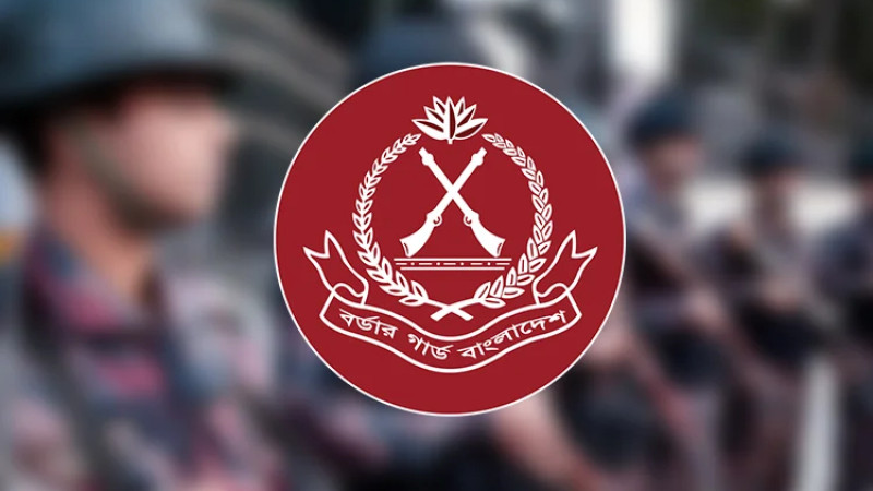 সাতক্ষীরা সীমান্তে ভারতীয় বিভিন্ন সামগ্রী জব্দ