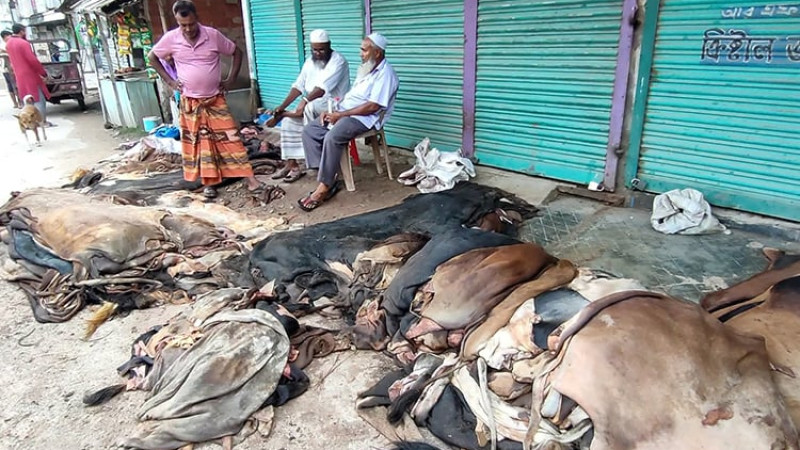 নওগাঁয় ৫ থেকে ৬ কোটি টাকার চামড়া বাণিজ্যের সম্ভাবনা