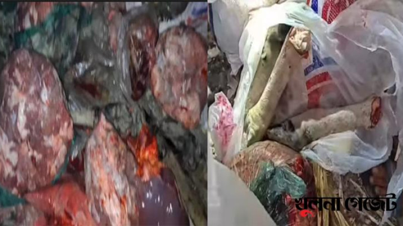 শরণখোলায় জলাতঙ্কে আক্রান্ত গরু জবাই করে বাজারে বিক্রি